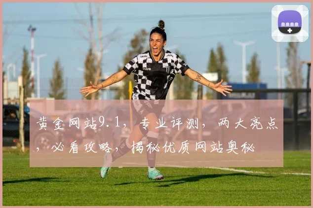黄金网站9.1，专业评测，两大亮点，必看攻略，揭秘优质网站奥秘