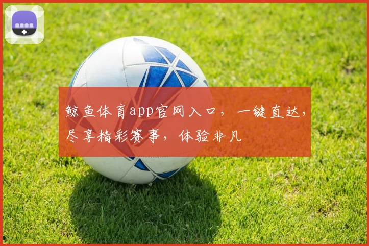 鲸鱼体育app官网入口，一键直达，尽享精彩赛事，体验非凡