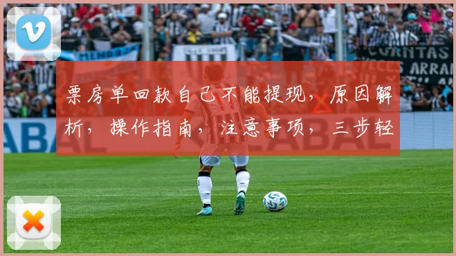 票房单回款自己不能提现，原因解析，操作指南，注意事项，三步轻松解决